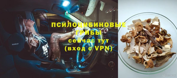 скорость Нея