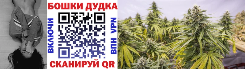 Конопля ГИДРОПОН  купить наркотик  Палласовка 